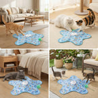 Interactive Star Cat Toy – Chew & Hunting Enrichment Toy